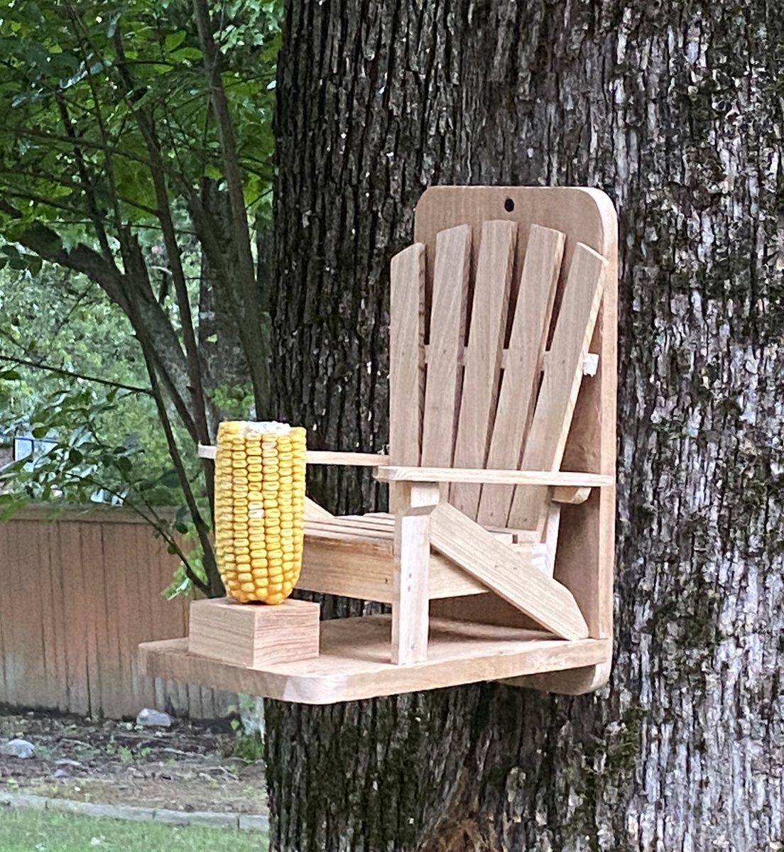 KATVMelinda's tweet photo. Look at what my sweet Louisiana friend, @timtircuit sent me after he saw I had started backyard bird feeding. His handmade bird feeder swing and an Adirondack chair squirrel feeder. So whimsical and well made. Check out Tim’s @Etsy site at https://t.co/X0lUbnPB9R. Thanks Tim! https://t.co/zb3uI50yFd