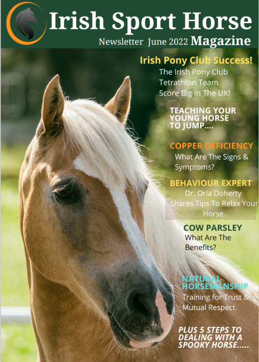 MagazineIrish's tweet image. Hey Peeps our Irish Sport Horse Magazine June 2022 Newsletter is out now and Free To Read on our Blog;-)irishsporthorsemagazine.com/magazine/