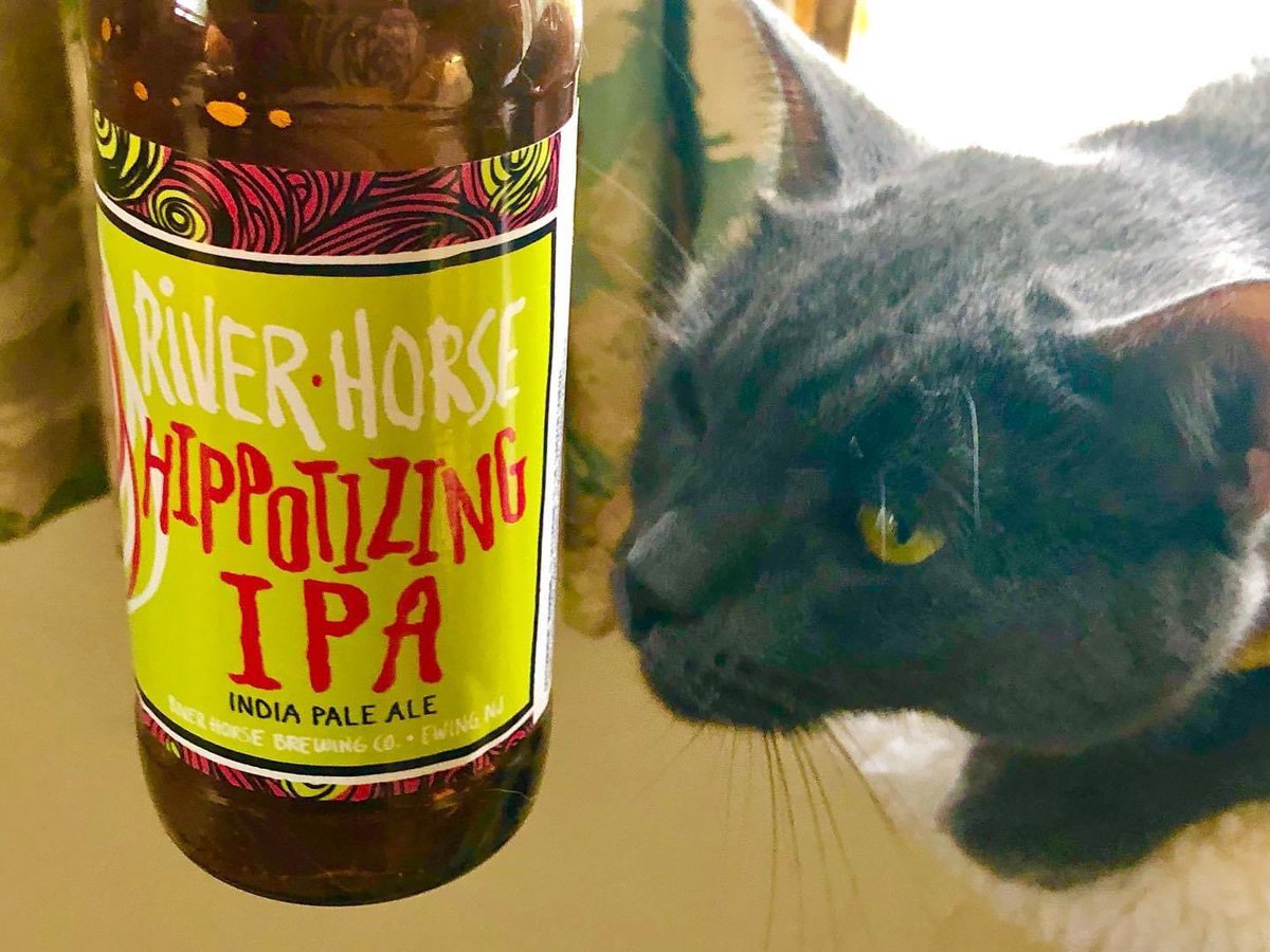 JimmRet's tweet photo. #TheDayIn 2019
#PrincessTheBaby fell under the spell of @RiverHorseBrew Hypnotizing IPA #craftbeer.
#beer #Ale #cat #bier #kat #katze #gato #cute #craftbeer #instacat #CatsOfTwitter #neko #catstagram #貓 #kitty #猫 #graycat #Stout #beercat @Kull31 https://t.co/yOA9WBqk7F