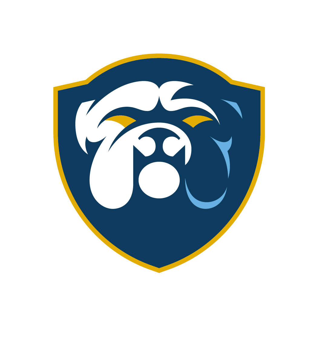We have a new look! We are now the Belvidere BULLDOGS!