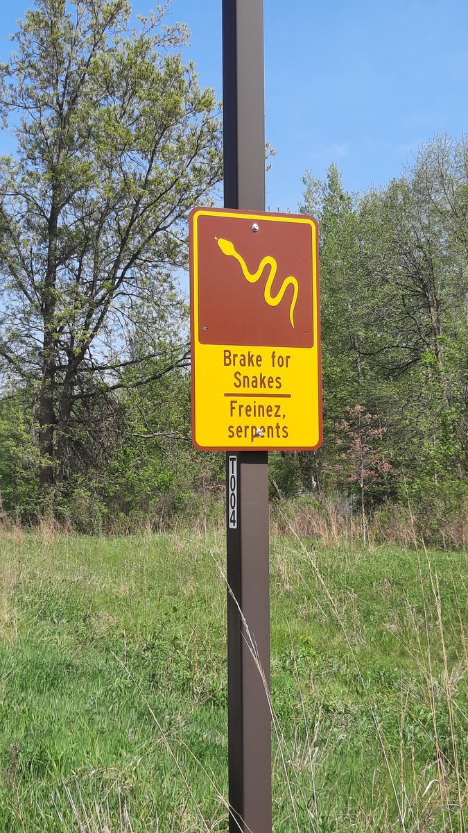 ToWhatEnd1's tweet image. Mieux...ralentir aux réptiles ?