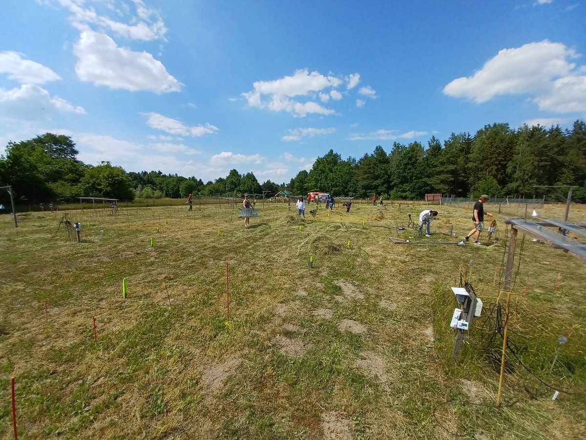 DisturbanceEco1's tweet image. Our peak harvesting was completed today. #NutNet #Event II #DroughtNet #SusAlps
Credit to all students of Exp. Ecology 2022 at GCE @ubt and international interns #Jennifer #Sara+Lab members
We celebrated #Jennifer Schug's birthday working all day harvesting,  sorting...pizza....