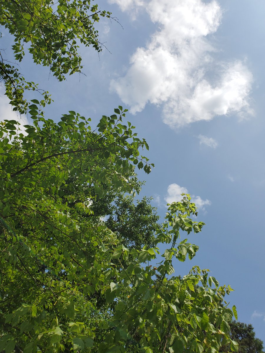 chris walters tweet media