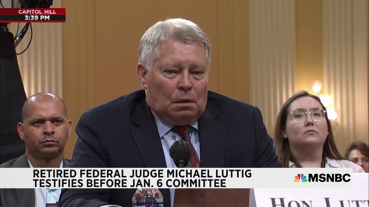 Ben Brown Plumm on Twitter "RT MSNBC "Donald Trump and his allies and supporters are a clear