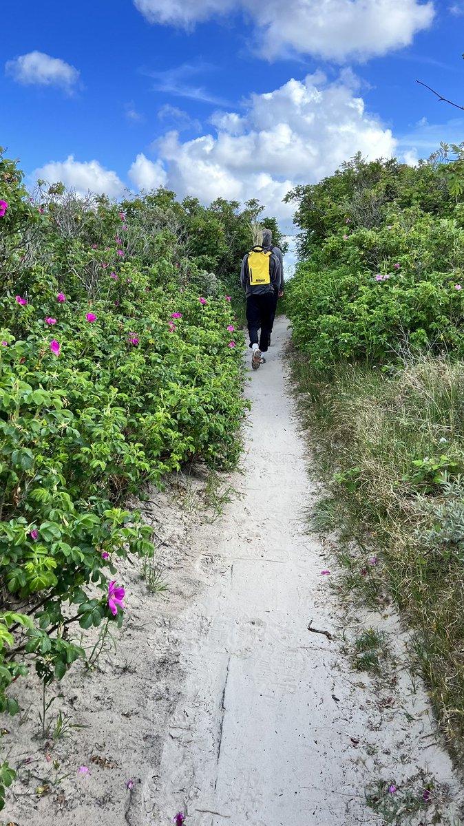 Viktoria Kosmalla (@viktoria_ksmll) on Twitter photo Last evening of our monthly field trip - We collected data diligently but also enjoyed the summer sun in the Spiekerooger dunes. A special thank you to our dear student assistants for their support! <a href="/GuteKueste/">Gute Küste Niedersachsen</a> <a href="/Hyku_LWI/">Hydromechanics, Coastal and Ocean Engineering</a> <a href="/tuBraunschweig/">TU Braunschweig</a> Last evening of our monthly field trip - We collected data diligently but also enjoyed the summer sun in the Spiekerooger dunes. A special thank you to our dear student assistants for their support! <a href="/GuteKueste/">Gute Küste Niedersachsen</a> <a href="/Hyku_LWI/">Hydromechanics, Coastal and Ocean Engineering</a> <a href="/tuBraunschweig/">TU Braunschweig</a>