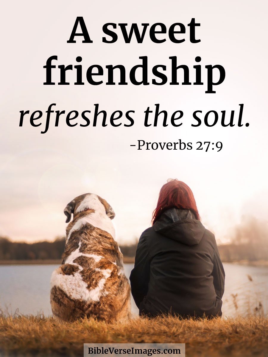 @TeePal2 I see you everyday lifting people up with encouragement, prayers, offers of taking food by to a sick friend! You have encouraged me on so many occasions, offered up prayers for Ray and I when I’ve asked! I just want to say I appreciate you my dear friend ✝️🌿🕊💟❤️