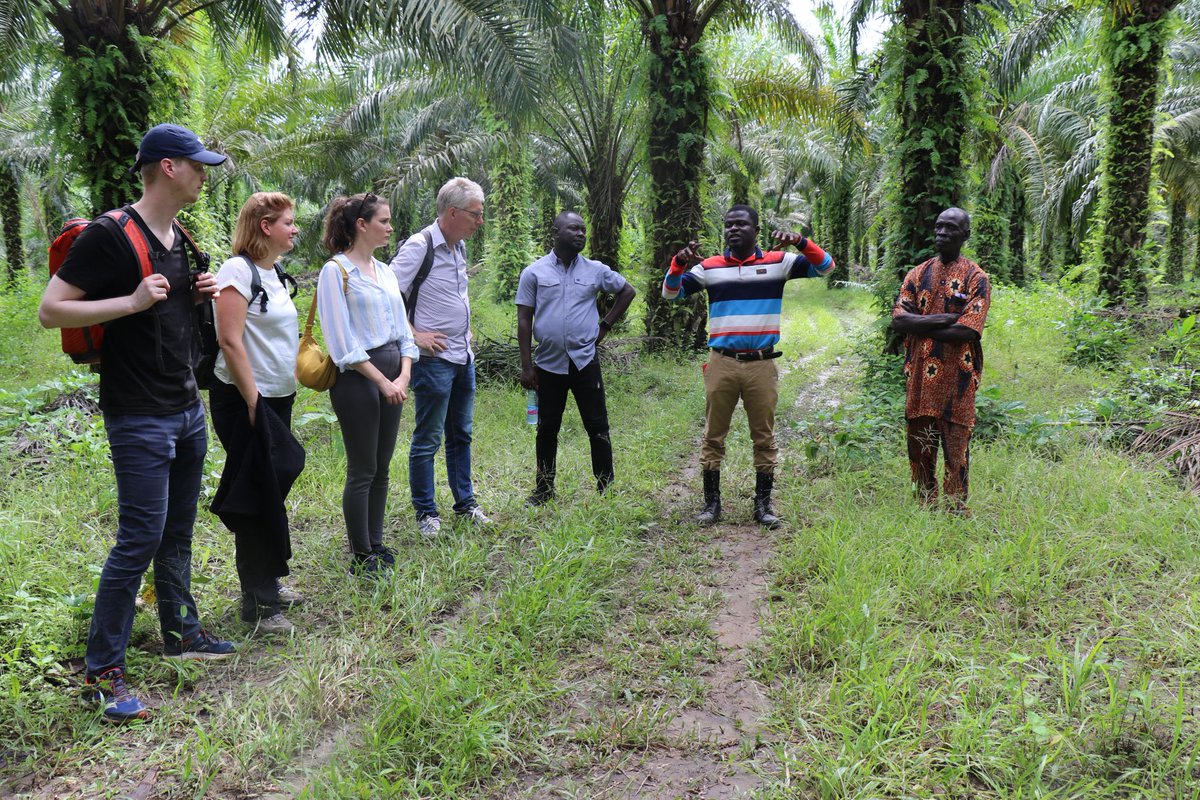 Solidaridad_wa's tweet photo. Today, the delegation from the @NLSpaceOffice, @akvo, @RnfrstAlliance, @DutchMFA, @solidaridad_nl  and @NLinGhana visited and interacted with managers of Assin Oil Mills &amp; Aseda Oil Palm Farmers Association, beneficiaries of the Sat4Business project implemented by @Solidaridad_wa https://t.co/ncLT196xTN