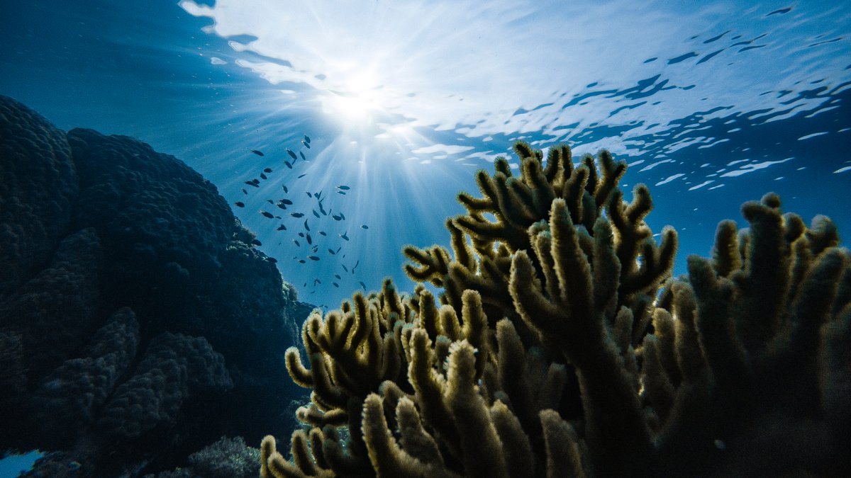 [BREAKING] 🇧🇪 Parliament just voted for <a href="/IMOHQ/">International Maritime Organization</a>  HNS Convention implementation🙌

🙏Belgian shipowners thank Minister <a href="/VincentVQ/">Vincent Van Quickenborne</a> for his efforts, as Belgium once again demonstrates its status of a leading maritime nation by going #boldlyBEyond 🇧🇪

👉kbrv.be/belgian-shipow…
1/2