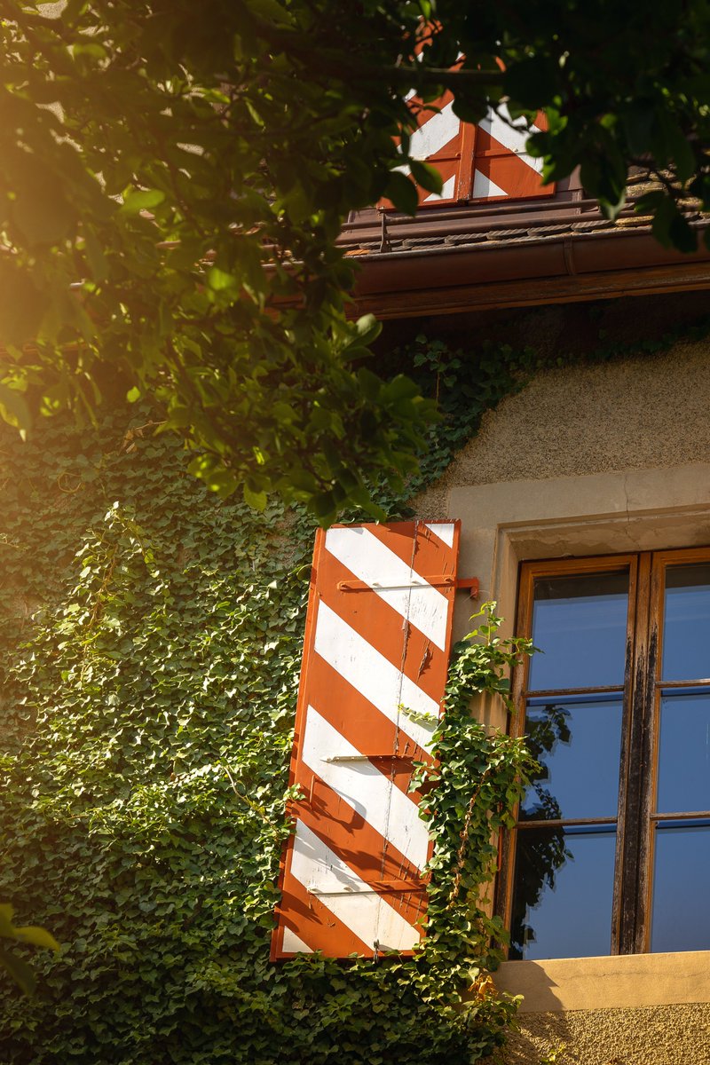 lcetlce's tweet photo. Nos amis et clients ont pu vivre une nouvelle expérience unique et noble, comme l’arôme du tabac 𝐏𝐥𝐚𝐬𝐞𝐧𝐜𝐢𝐚 𝐑𝐞𝐬𝐞𝐫𝐯𝐚 𝐎𝐫𝐢𝐠𝐢𝐧𝐚𝐥 𝐂𝐨𝐫𝐭𝐞𝐬 dans un cadre magique : https://t.co/4Fj7yuKHEd

@PlasenciaCigars 

#cigars #rolle #local #vaud #entreprise #suisse https://t.co/Zlnqp2AjTI