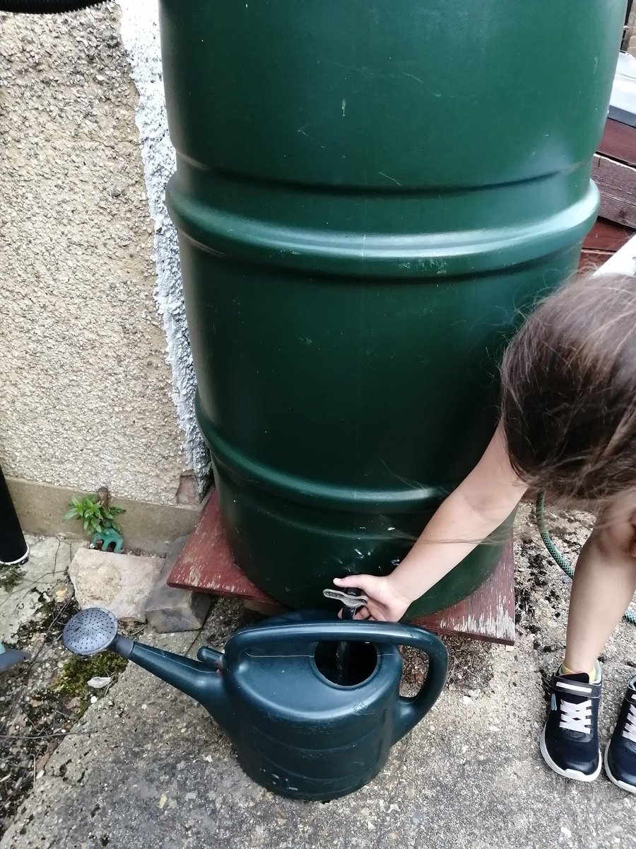 honour_kerry's tweet photo. Day 16 of #30DaysWild Conserving water. Plenty of water butts in are garden. https://t.co/SN6sqK5g0y