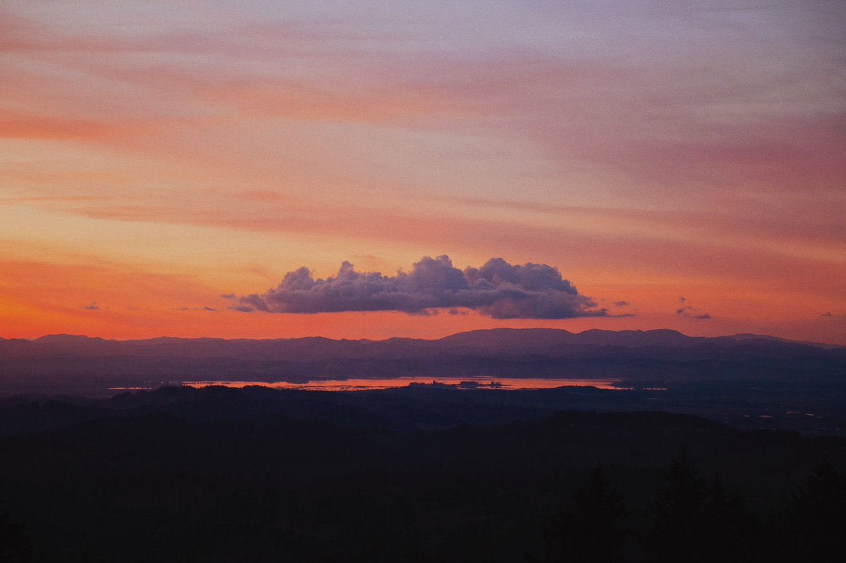 alexxhinson's tweet image. sunset study