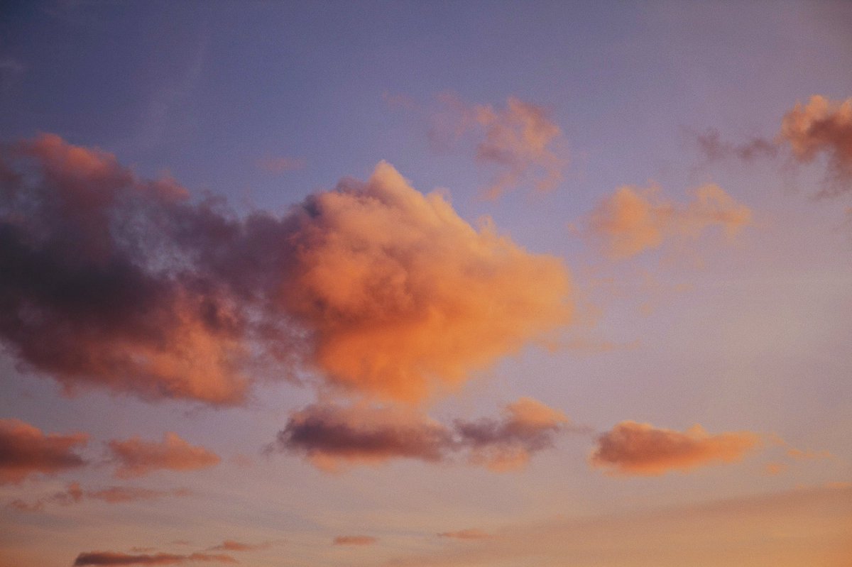 alexxhinson's tweet image. sunset study