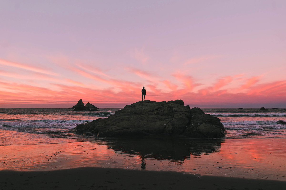 alexxhinson's tweet image. sunset study