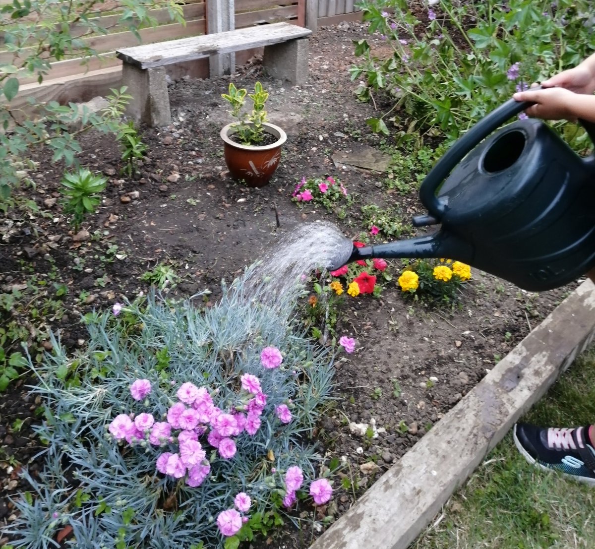 honour_kerry's tweet photo. Day 16 of #30DaysWild Conserving water. Plenty of water butts in are garden. https://t.co/SN6sqK5g0y