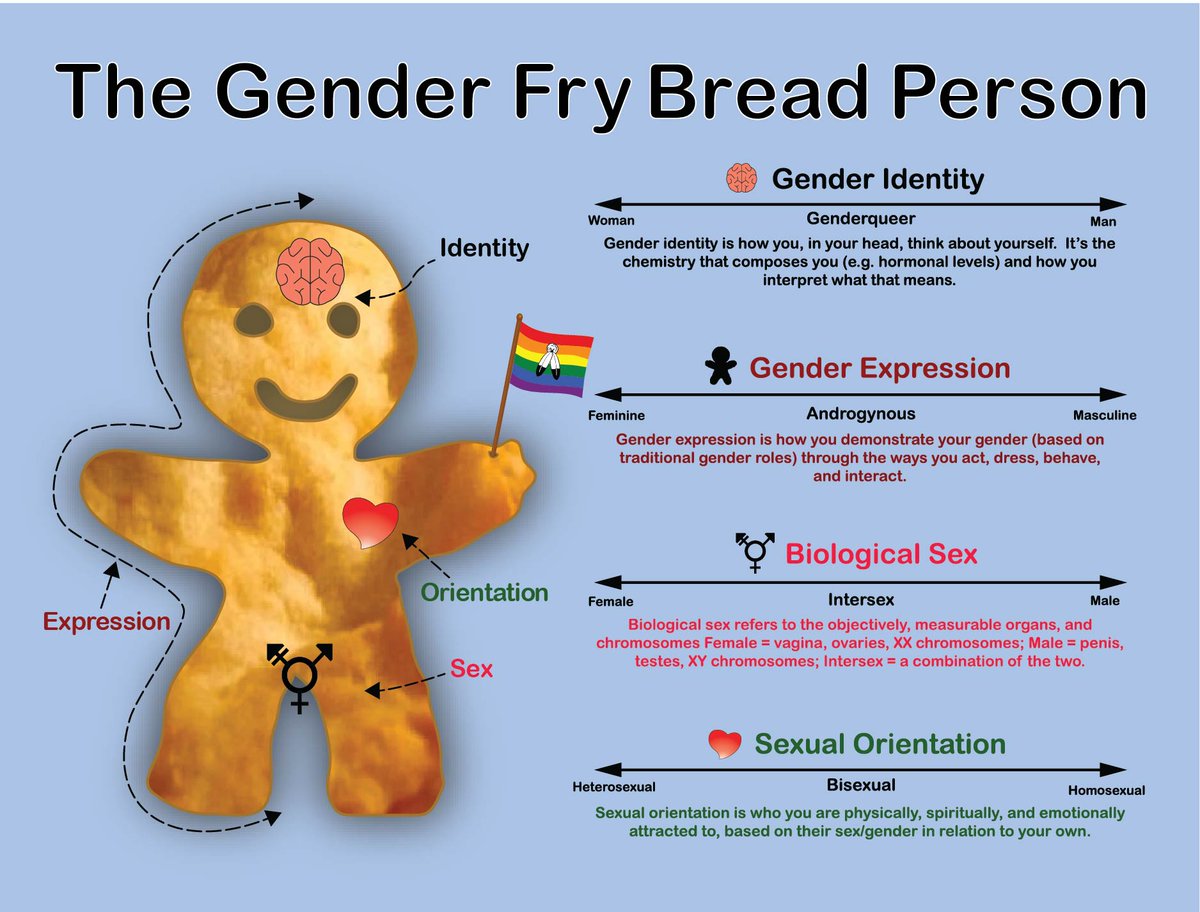 Thanks to our helpful friend, the Gender Fry Bread Person, there's no better time to learn more about gender than during #PrideMonth