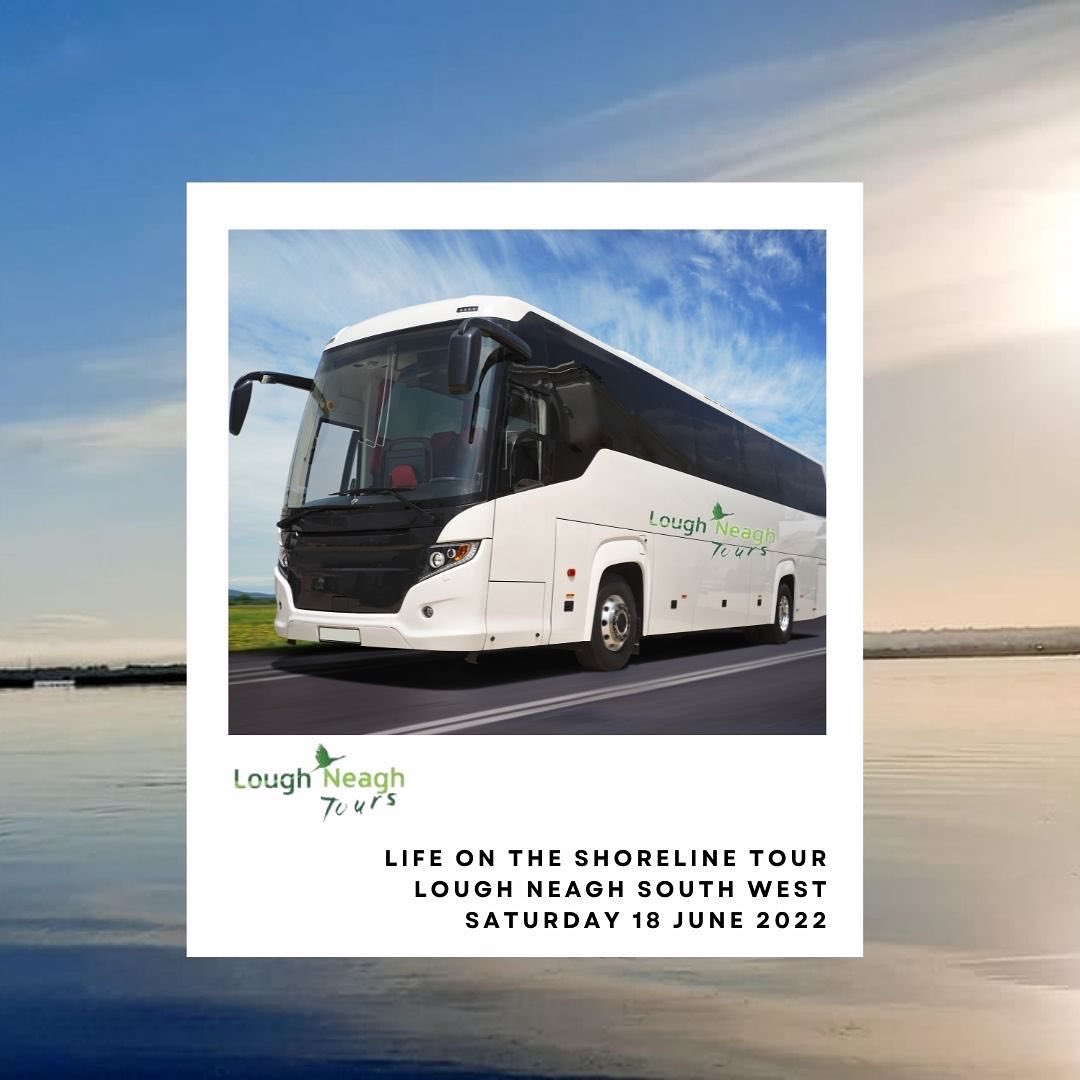Lough Neagh Tours (@loughneaghtours) on Twitter photo Hello <a href="/BelfastHourNI/">#BelfastHour</a> it’s Lough Neagh here joining in
Do you know how to make leather from eel?
This Saturday Gary, a 7th generation eel fisherman will demonstrate the art of eel skin tanning & regale visitors with stories of life on the Lough
#BelfastHour #SmallPlatesBigFlavour Hello <a href="/BelfastHourNI/">#BelfastHour</a> it’s Lough Neagh here joining in
Do you know how to make leather from eel?
This Saturday Gary, a 7th generation eel fisherman will demonstrate the art of eel skin tanning & regale visitors with stories of life on the Lough
#BelfastHour #SmallPlatesBigFlavour