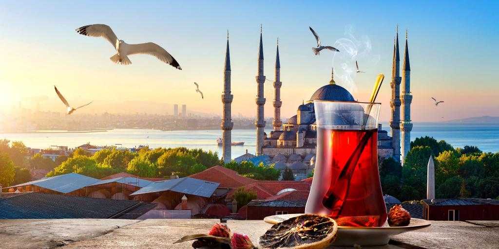 Istanbul’s female chefs challenge more than the food scene.

 Click on conta.cc/3MEleig to view this article featured in our May journal.

A world of travel journalism awaits. 
Subscribe for FREE at travelresearchmonthly.com
#Istanbul
#FoodScene