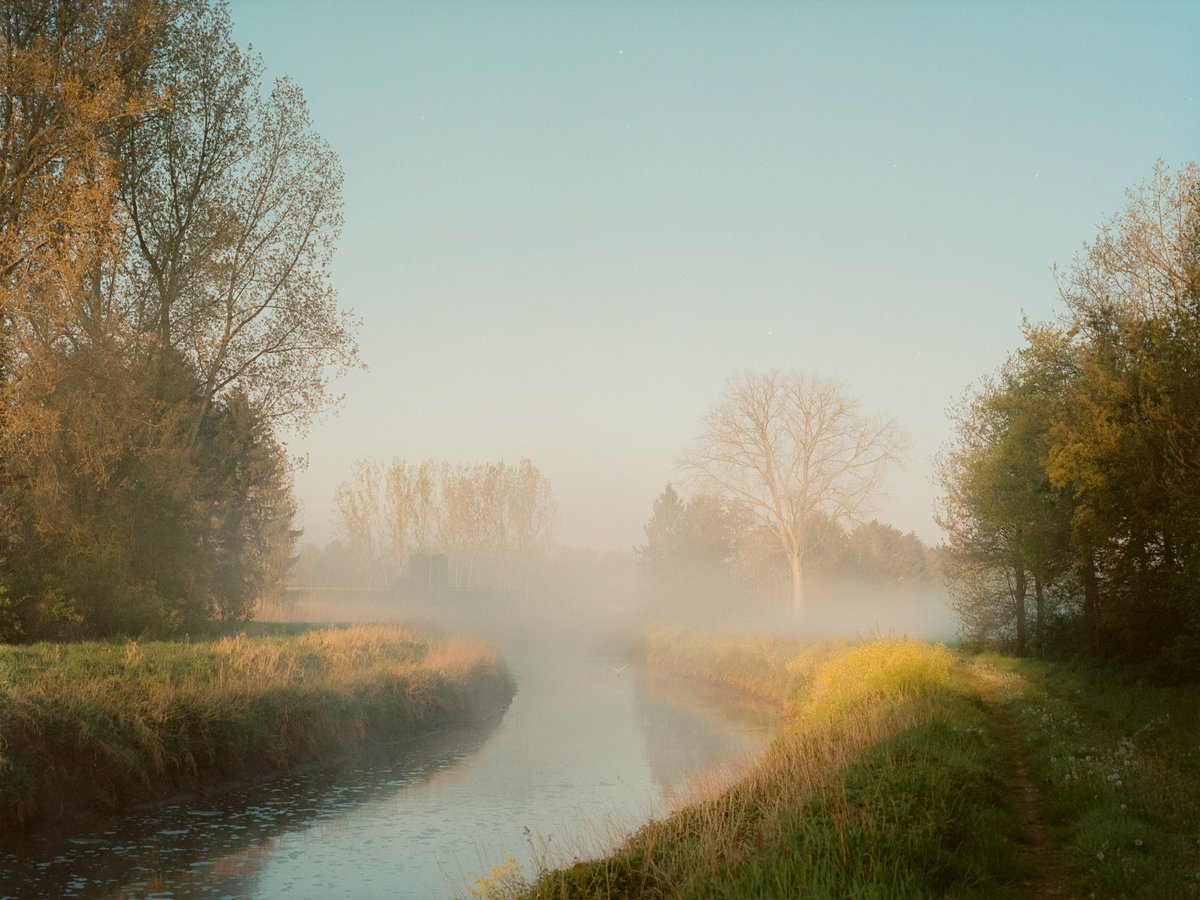 FilmMoreno's tweet photo. A morning walk https://t.co/a6ZF7WWLFA