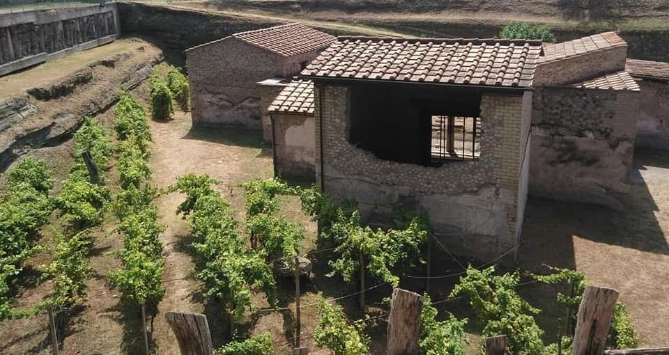 ‼️📢Tornano  le  Giornate  Europee  dell’Archeologia a #boscoreale
A Villa Regina sarà possibile fruire di un’esposizione temporanea di opere  d’arte di artisti vesuviani:  Giuseppe Sorrentino,  Vincenzo  Empireo,  Carlo De Prisco e Raffaele D’Errico.