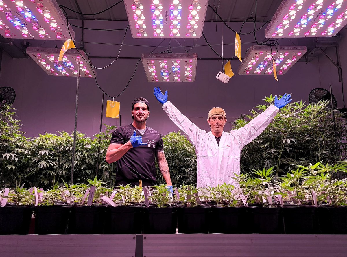 This had been taken a week before transplant into the greenhouses! We had just survived a a deadly storm that passed through Ontario.
 
Going to be a hell of a season. 3 strains, 1 specific cut per strain. 

Buckle up,