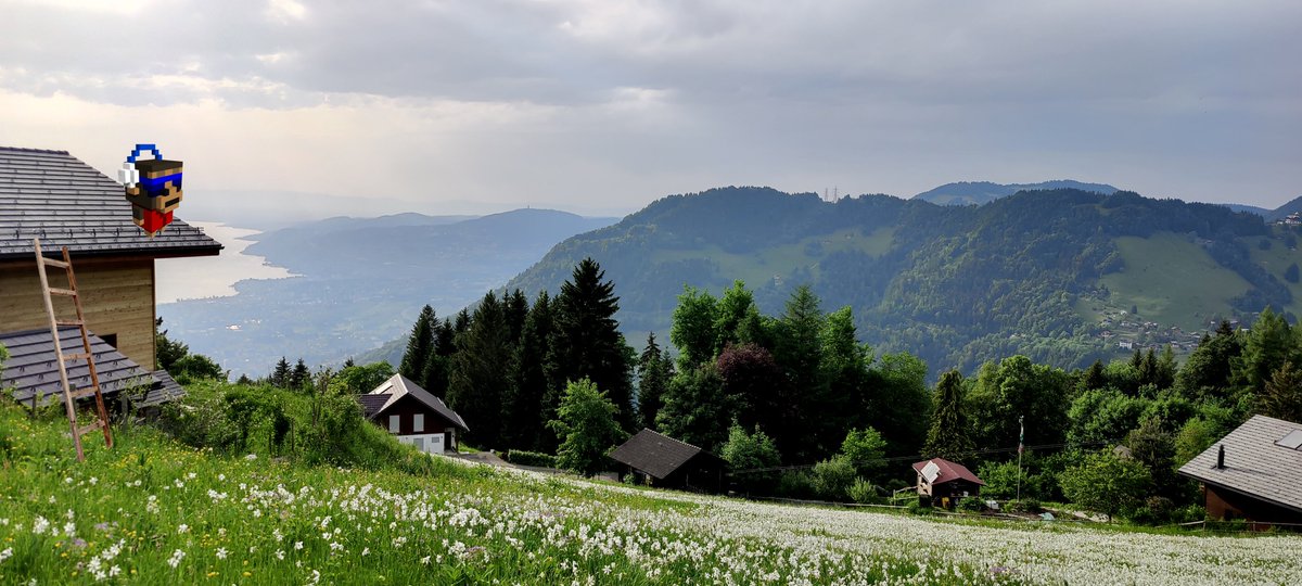 CryptoPets | SOLD OUT tweet media