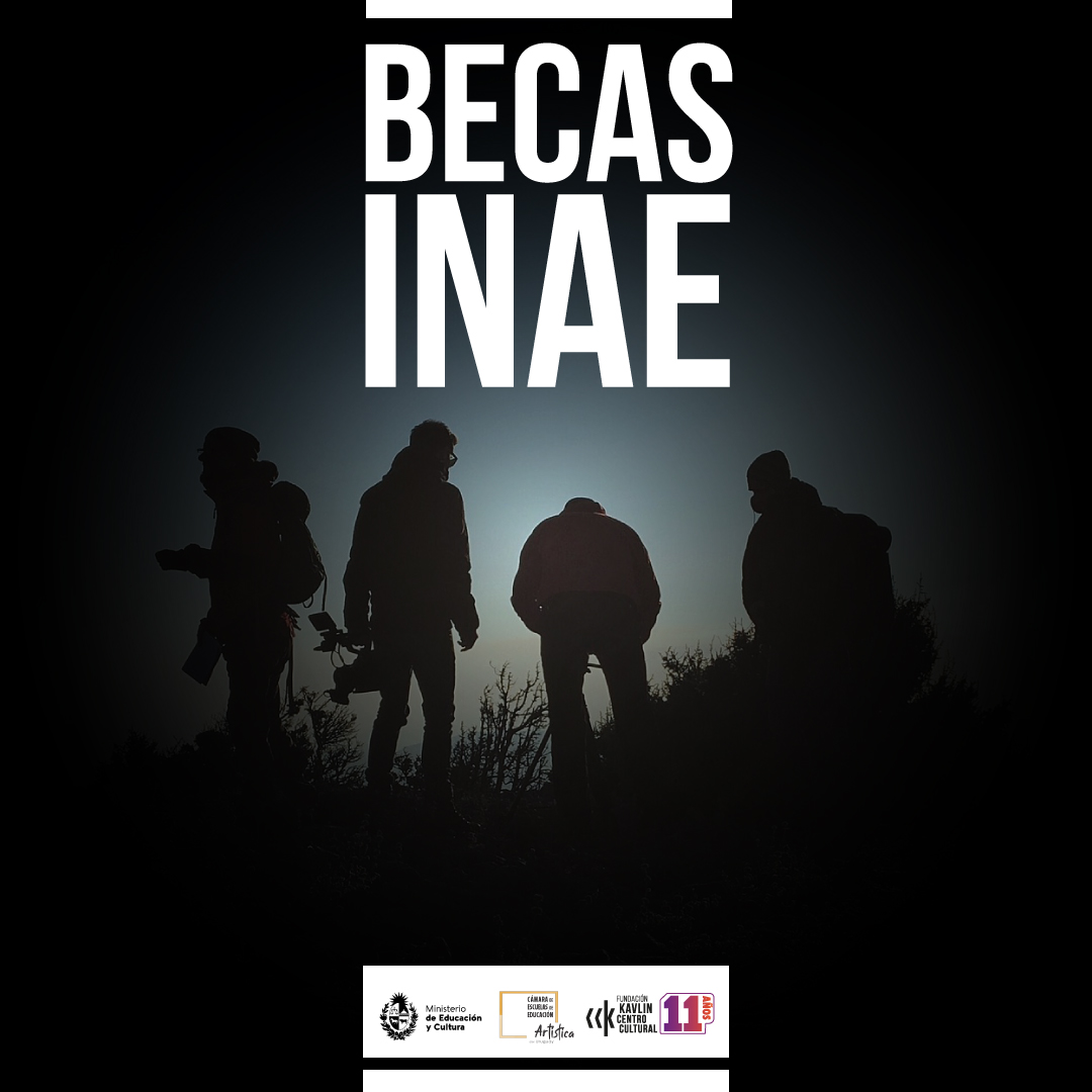 KavlinCultural's tweet photo. El Instituto Nacional de Artes Escénicas (INAE) y la Cámara de Escuelas de Educación Artística del Uruguay (CEEAU) convocan al programa INAE BECAS, que tiene como objetivo facilitar un mayor acceso a la educación artística https://t.co/lK16rK0pQK