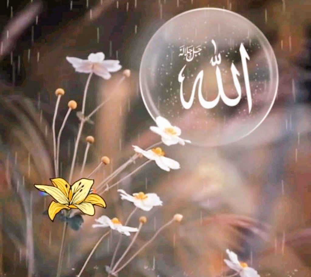 .

Ey Rabbim! 

Yalvarışım Rahmetine güvenimden, 
Her şey kudretinden, içimdeki kırık kalp 
Allah derken, Rahmetini esirgeme üzerimizden! 

Âmin...

Cumanın Hayrı Üzerimize Olsun...
...