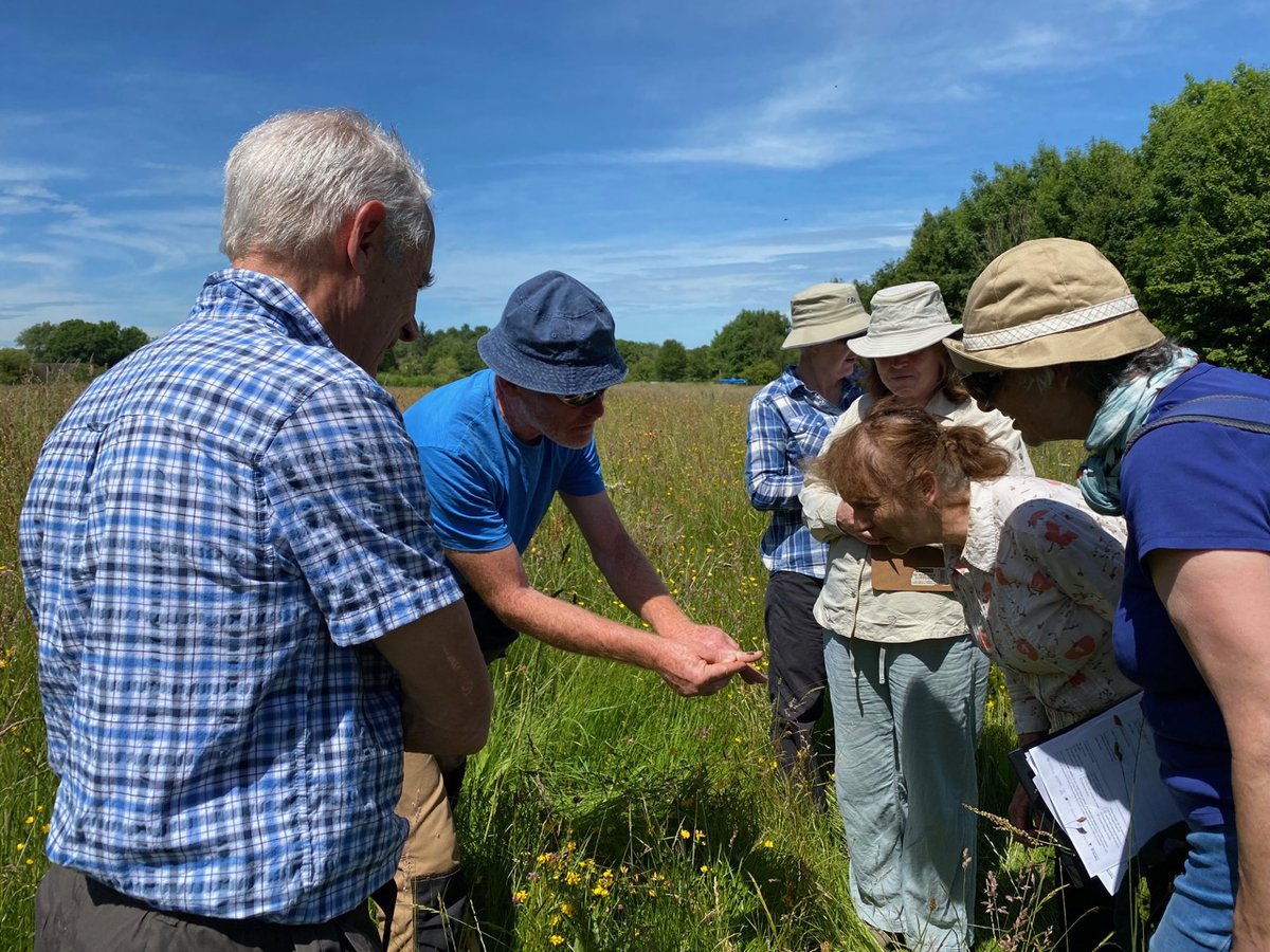 Excellent insect ID course with Ian today at <a href="/ShropsHillsDC/">Shropshire Hills Discovery Centre</a>