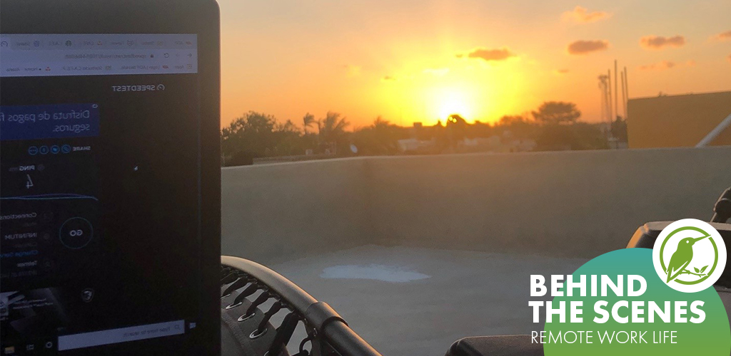 SCScertified's tweet photo. "When not in NY, I take full advantage of #remotework, recently working from my Airbnb's roof during sunset in Cozumel, Mexico."

Technical Associate for Latin America in Responsible Sourcing Strategies, Clara E. shares a peek of her remote work life at SCS! #SCSBehindTheScenes https://t.co/JjGkMo4AvK