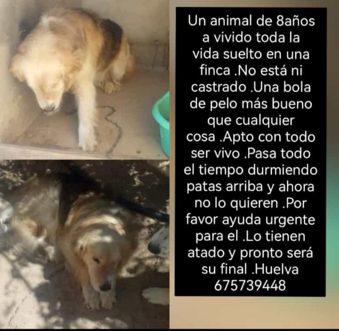 silvia mensegar tweet media