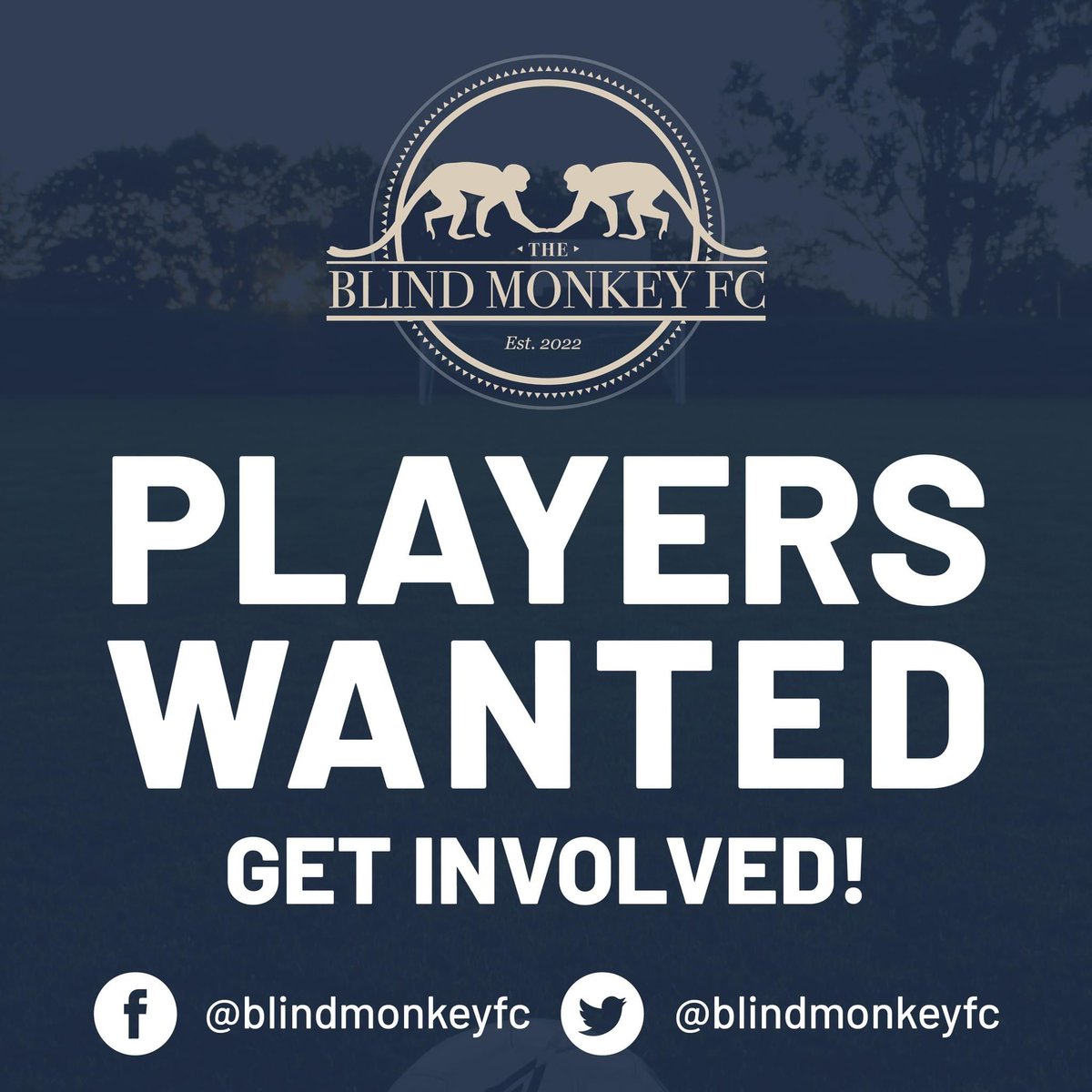 Blind Monkey FC are recruiting players for their first season in the SISL.

If this is something that you might be interested in then please get in contact for more information.

Get Involved!
