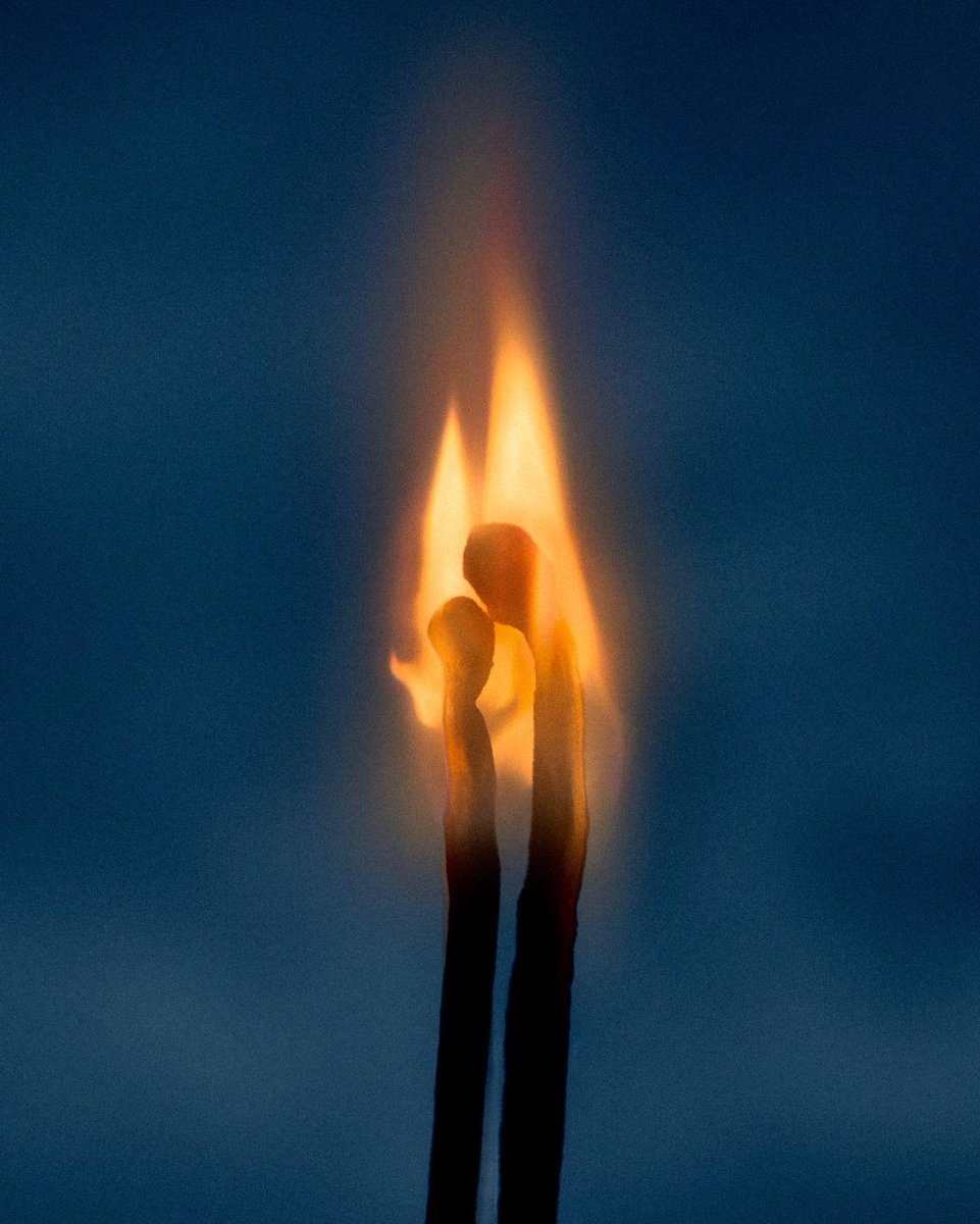 the dark side of the moon 🌑 (@dark_sotm) on Twitter photo 