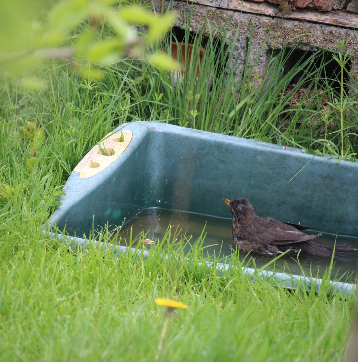 @SWTCLUN tweet media