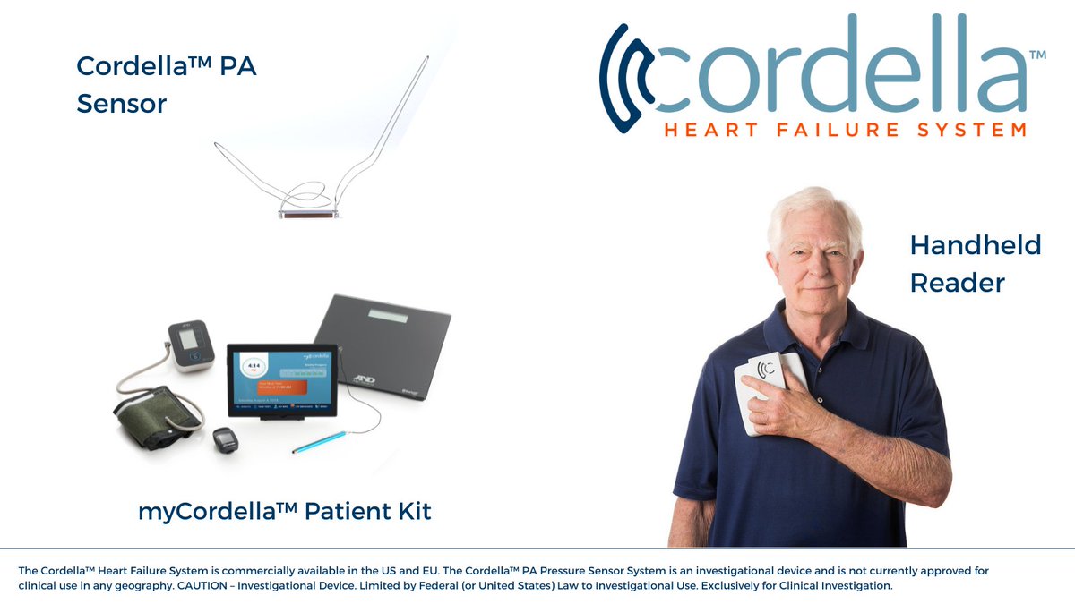 Cordella HF tweet media