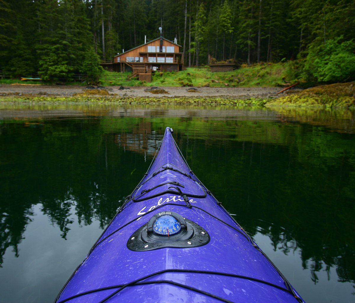 The West Coast Fishing Club tweet media