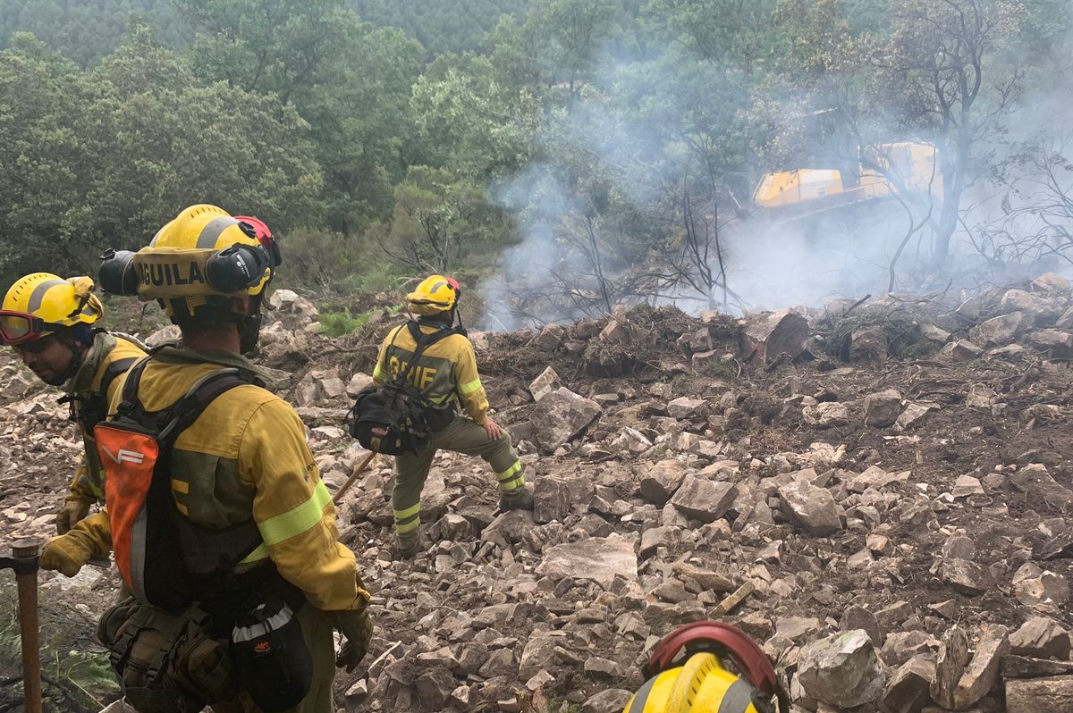 AT_Brif's tweet image. 🔴PARTE DE INTERVENCIÓN 16/06/22➡️5 #BRIF de @mitecogob han intervenido en 4 #IIFF

🔥#IFRiofrioDeAliste #Zamora
👨‍🚒#BLP @briftabuyo
👨‍🚒@brifpuertopico

🔥#IFLeyre #Navarra
👨‍🚒@BrifDaroca

🔥#IFHervás #Cáceres
👨‍🚒@BRIF_PINO

🔥#IFNonaspe #Zaragoza
👨‍🚒@BRIFpradotwit

GRANDISIMOS!🙌💪👨‍🚒
