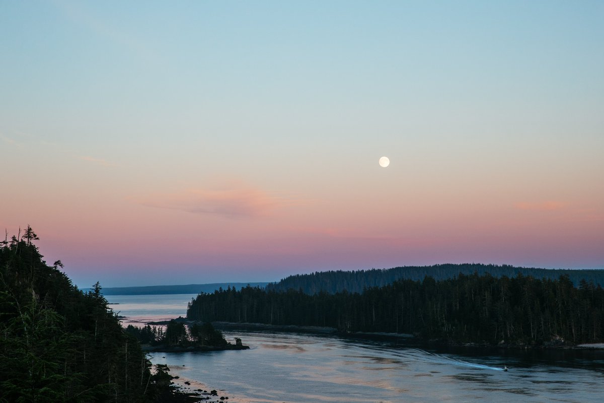 The West Coast Fishing Club tweet media