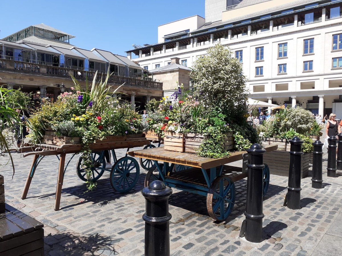 BawaHemi's tweet photo. London in it’s element! The perfect warmth of the sun and the glorious flowers in bloom- a beautiful spectacle at Covent Garden. Summer calls for a trip to this beautiful city that feels like home away from home.

#CoventGarden #LondonDiaries #WhatABeautifulDay #HemiBawa https://t.co/osrU5OTJWZ