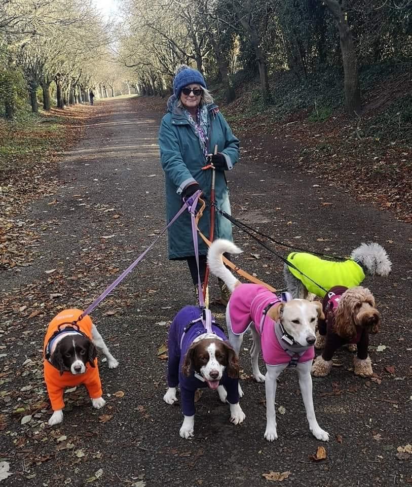 If you’re lucky enough to take your fluffy one to work with you for #BringYourDogToWorkDay we’d love to see it. Linda takes her dogs to work every day of the week. Summer is her Sirius baby in pink & Rosie (in purple) is a UK rescue ❤ #livingourbestlives