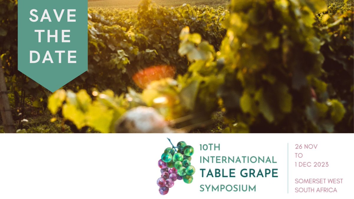 We are extremely proud to announce the 10th International Table Grape Symposium (10ITGS), brought to you by SASEV &amp; SATI from 26 November 2023 to 1 December 2023, Somerset West, South Africa!

Find out more: 10itgs.co.za

#10ITGS #sasev #tablegrapes #southafrica