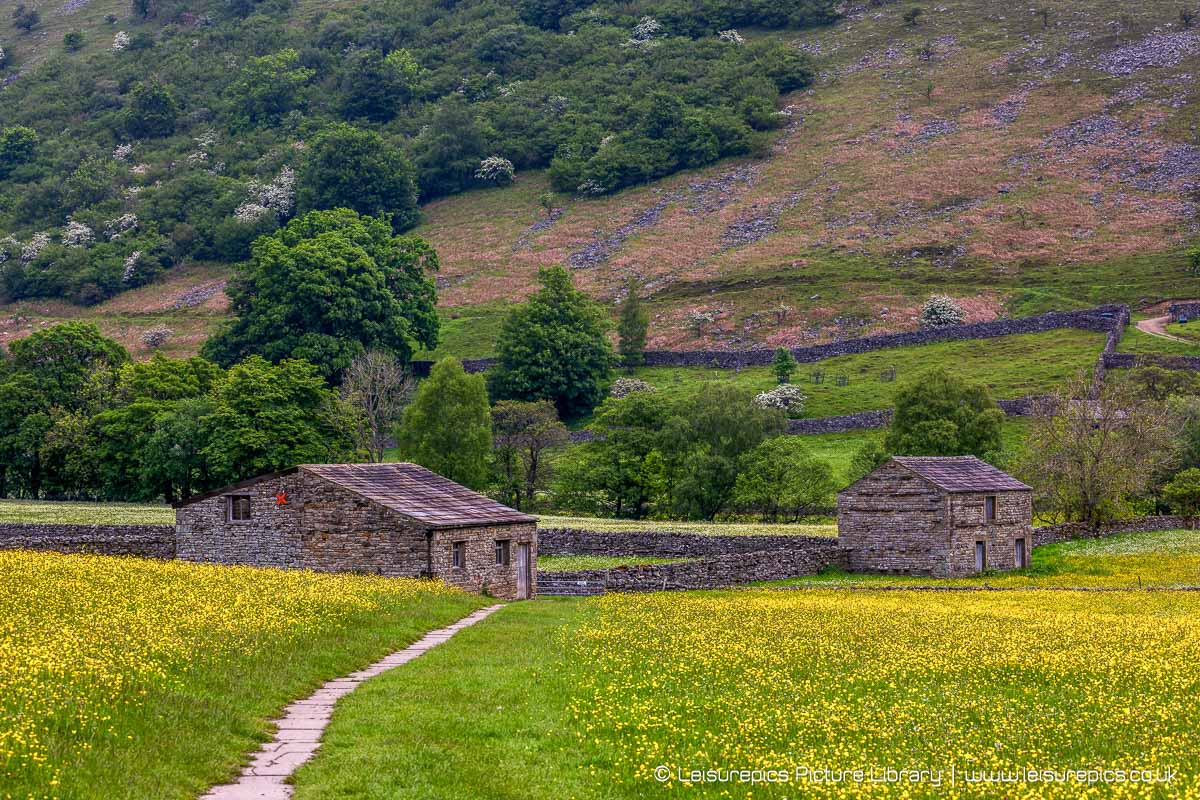LeisurePics's tweet photo. The rather splendid Hay Meadows at Muker, Swaledale.
#Muker #Yorkshire #YorkshireDales #Swaledale #wildflowers #barn #stonebarn #ThePhotoHour #landscapephotography #countryside #yorkshirestonebarns https://t.co/sCTKjbP5gb