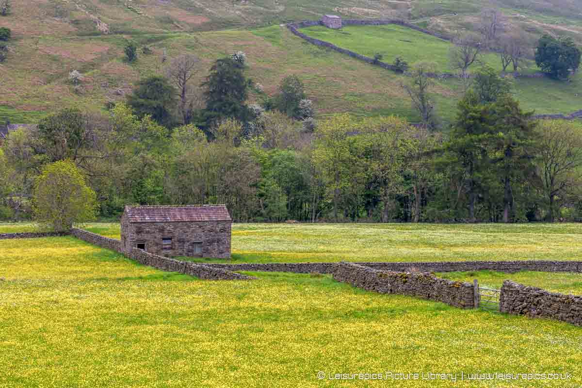LeisurePics's tweet photo. The rather splendid Hay Meadows at Muker, Swaledale.
#Muker #Yorkshire #YorkshireDales #Swaledale #wildflowers #barn #stonebarn #ThePhotoHour #landscapephotography #countryside #yorkshirestonebarns https://t.co/sCTKjbP5gb