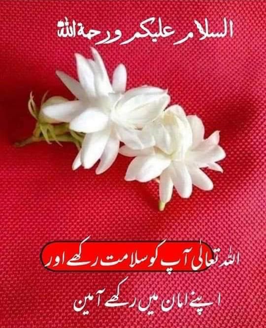SaleemTajik's tweet photo. https://t.co/Q7TkV2r6Uj
