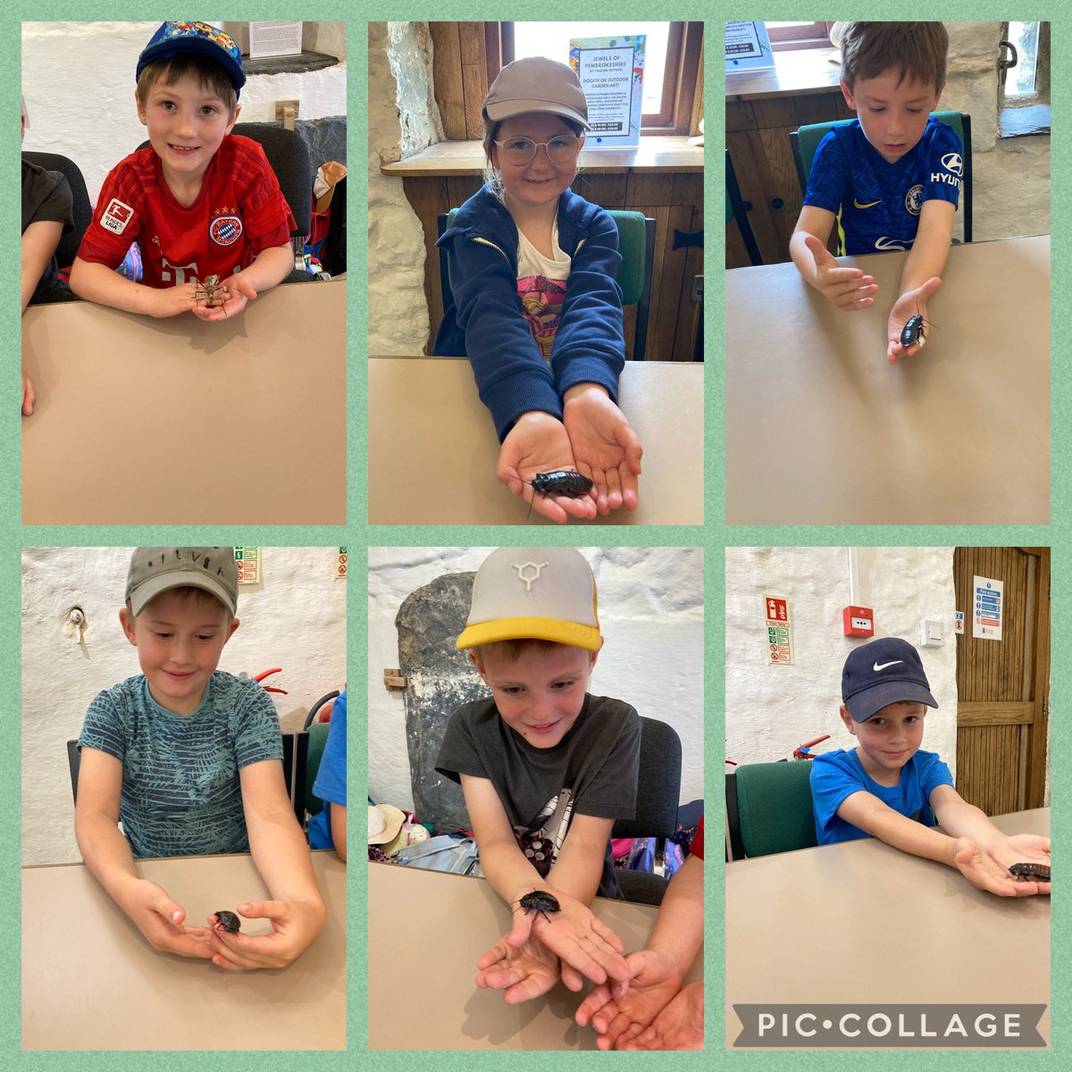 hook_dwrgi's tweet photo. 1 whole week since we visited the bug farm! 🐞🪲🐜We had a fabulous time! We learnt so much from our visit! We got to handle the creatures, visit the museum and bug zoo, before enjoying a delicious lunch and fun play in bug olympics area… https://t.co/QVV2QHu6Jg