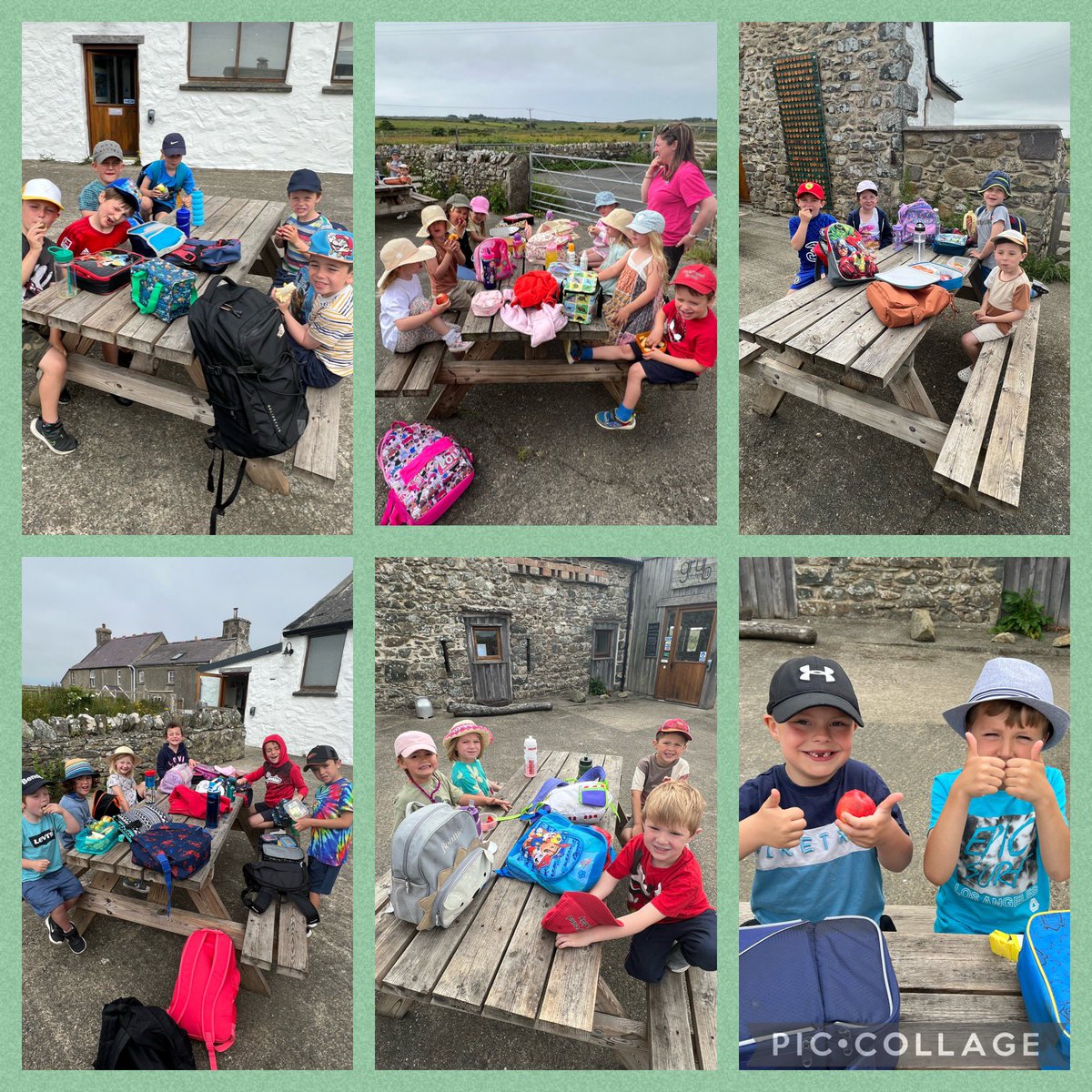 hook_dwrgi's tweet photo. 1 whole week since we visited the bug farm! 🐞🪲🐜We had a fabulous time! We learnt so much from our visit! We got to handle the creatures, visit the museum and bug zoo, before enjoying a delicious lunch and fun play in bug olympics area… https://t.co/QVV2QHu6Jg