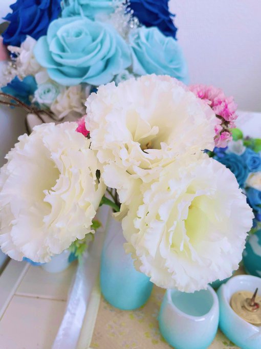 今日は月命日なの🐶🤍 一緒に居るからねぇチャチャ💛 https://t.co/2KwoCcWaKs