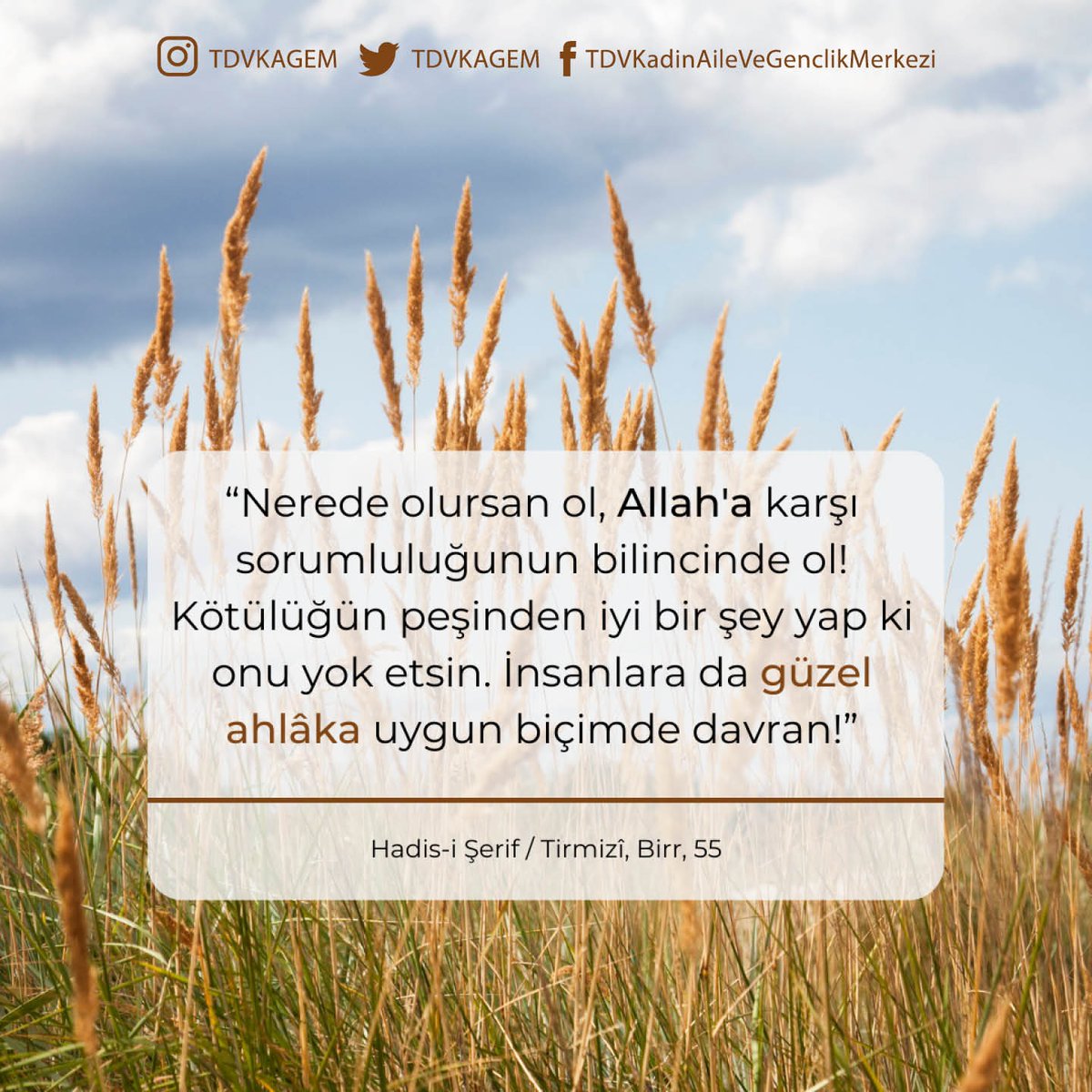 Katta jojalar pornosini koring