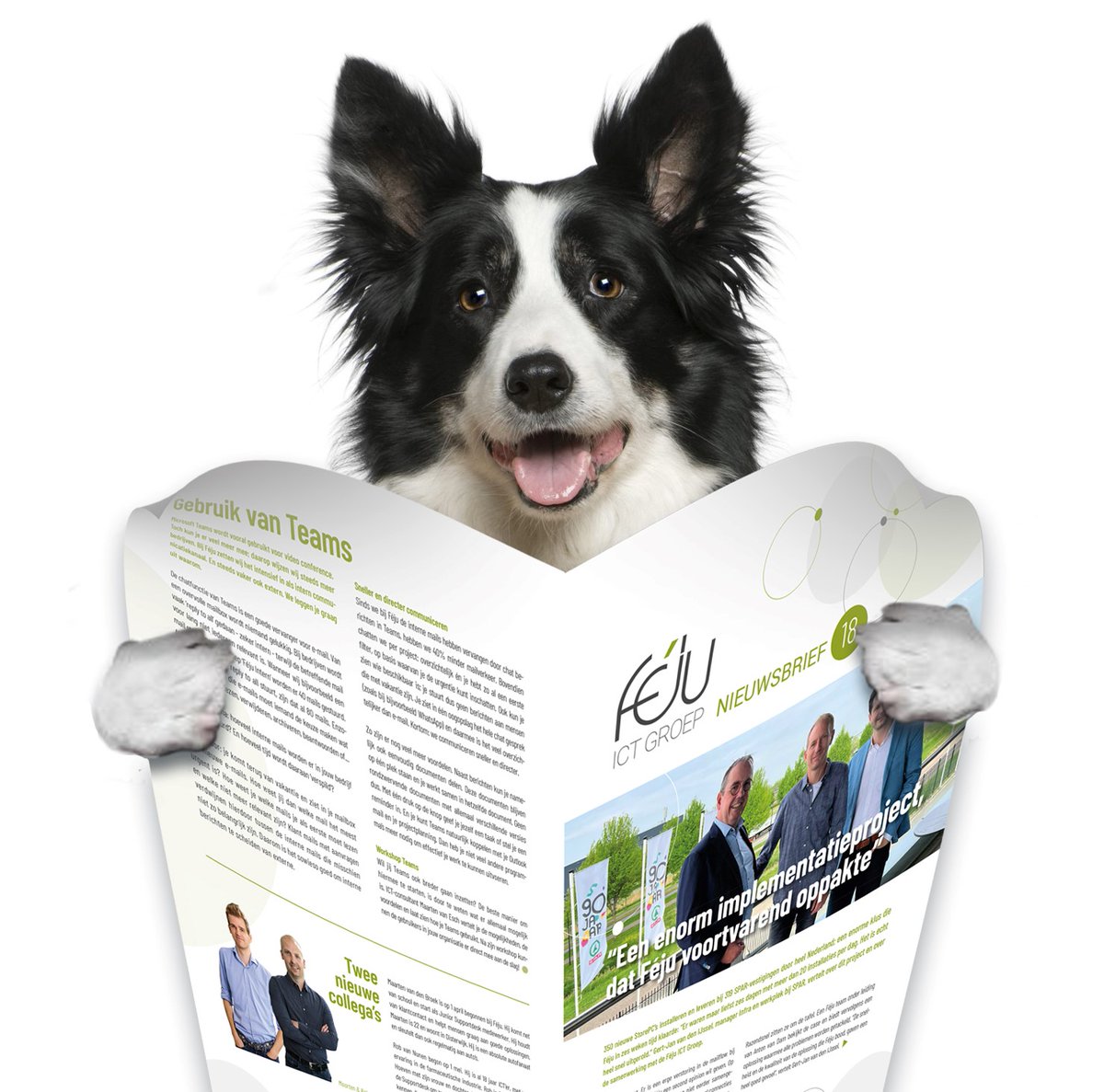 fejugroep's tweet photo. Het is Bring your dog to work day. Onze kantoorhond Sheara wil je graag vertellen dat de Féju nieuwsbrief vandaag op de mat valt!

#BringYourDogToWorkDay #nieuwsbrief https://t.co/uoE6wSBMTs