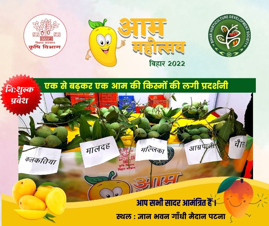 HorticultureBih's tweet photo. #Delicious&JuicyMangoes - the King of Fruits Awaiting your presence @ AAM-MAHOTSAV2022
@Agribih @AgriMktg_Bih @AgriGoI @APEDADOC @Singhapbjp @saravanakr_n @Rabindra_irse
#Progressive Bihar #ChangingFaceOfBihar #EverGreenRevolution
#AgricultureInBihar
#MangoLover #KingOfFruits https://t.co/Mfw5VFjTIB