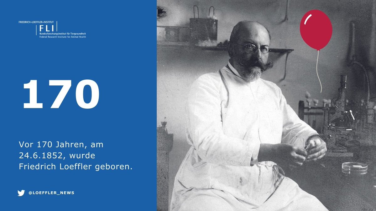 Friedrich-Loeffler-Institut tweet media